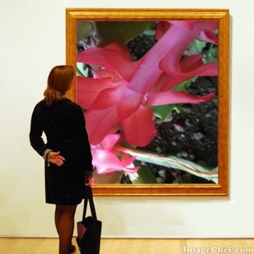 11/2 花 .jpg
